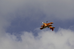 DSC_3688-Edit